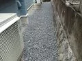 清潔に保てる建物まわり