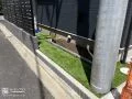 道路から見える緑のお庭