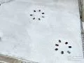 キラキラとしたガラス細工や乱形石がアクセントの新築外構