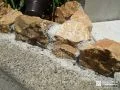メイク「ロックアイテム シトラスイエロー」