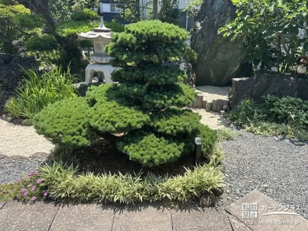 照明が植栽の雰囲気を邪魔しないようさりげない配置に