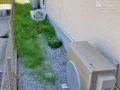 施工前の犬走り