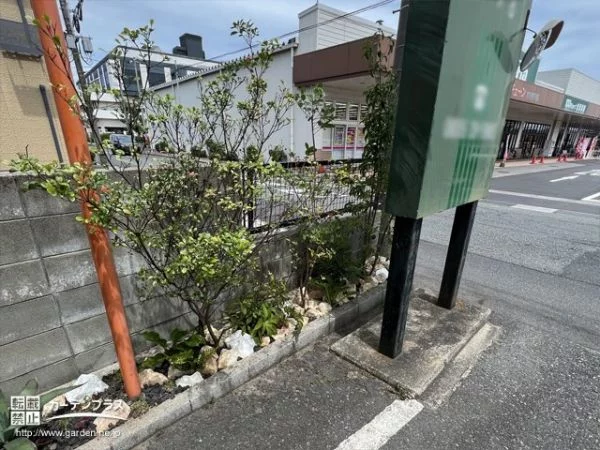 No.20270 お店の駐車スペースを豊かに彩る植栽工事