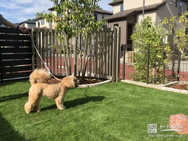 愛犬と遊びながら庭木の緑も楽しめるガーデンリフォーム