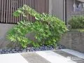 土間コンクリートを打設したことで植栽スペースもスッキリ