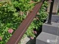 手すりにも木調を取り入れ、周りの植栽にもフィットする仕上がりに