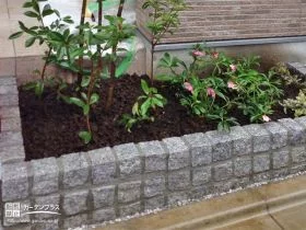 花壇[施工後]