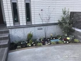 玄関横に宿根草やハーブを寄せ植え