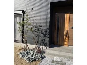 玄関前とお庭をつなぐシンボルツリー[施工後]