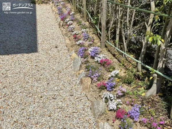 雑草対策した建物周りと華やかな花壇