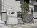 シマトネリコが柔らかな彩りを添えるシンプルおしゃれな門周り
