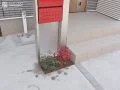 門周りの植栽。お客様にて植えていただきました。