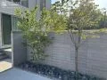 お庭を目隠しする塀です。植栽スペースを設けることで柔らかな緑が楽しめます。
