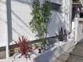 瑞々しい緑がお住まいを引き立てる花壇