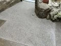 凹凸感のある洗い出しで、滑りにくく仕上げています。