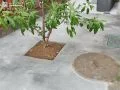 お庭の行き来をスムーズにする園路