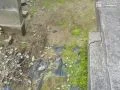【施工前】土の流出が気になっていた境界線上