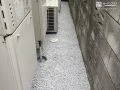 雑草や水たまりに困らない犬走り