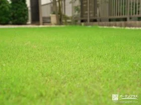 柔らかな触り心地の天然芝「ティフトン」