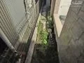 【施工前】犬走り