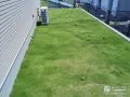 植物ならではの柔らかい踏み心地を楽しめる天然芝