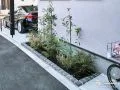瑞々しい緑がお住まいを華やかに彩る植栽スペース