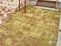 天然芝ならではの感触を味わえるお庭