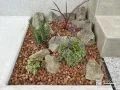 お住まいを華やかに彩るおしゃれな植栽スペース