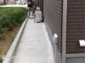 犬走り