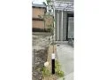 ハナミズキを植えた植栽スペース
