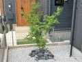 さりげないフォーカルポイントにロックガーデンを設けました。和の雰囲気ともみじが調和します。