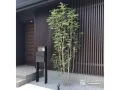 シックにバランスの取れた門周り