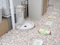 建物周りに雑草対策をし立水栓をとりつけた