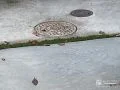 駐車スペースを彩る人工芝目地