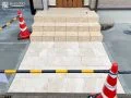 玄関ポーチとの一体感を演出するタイルアプローチ