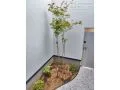 ウッドデッキ前の植栽スペース