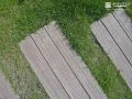 木のぬくもりをそのままに、強さをそなえた安心感