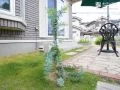 春を告げる「ミモザ」