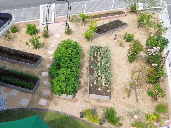 たくさんの植物を楽しめる、緑あふれるお庭