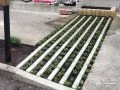 緑化ブロックと花壇でお庭に緑をプラス