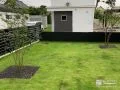 お庭を彩る3本の植栽