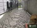【施工後】愛犬の脱走を防ぐ門扉