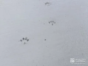 家族の思い出にもなる可愛らしい演出[施工後]