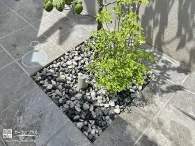 モダンな雰囲気に似合う植栽スペース[施工後]