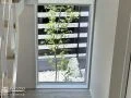 ピクチャーウインドウから眺める爽やかな植栽スペース