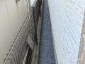 犬走りの雑草・ぬかるみ対策