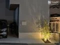 アオダモと夜のライティングがお住まいを引き立てる新築外構