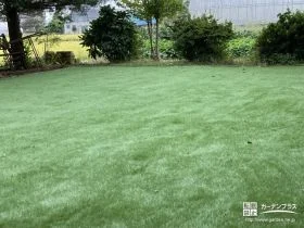 リアルな見た目の人工芝で一年中鮮やかな緑を楽しめるお庭工事