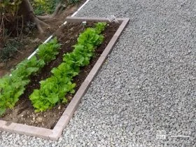 建物周りの雑草対策に砂利を敷設し植栽スペースも設けた工事