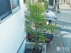 もみじとスポットライトでお住まいに彩りをプラス[施工後]